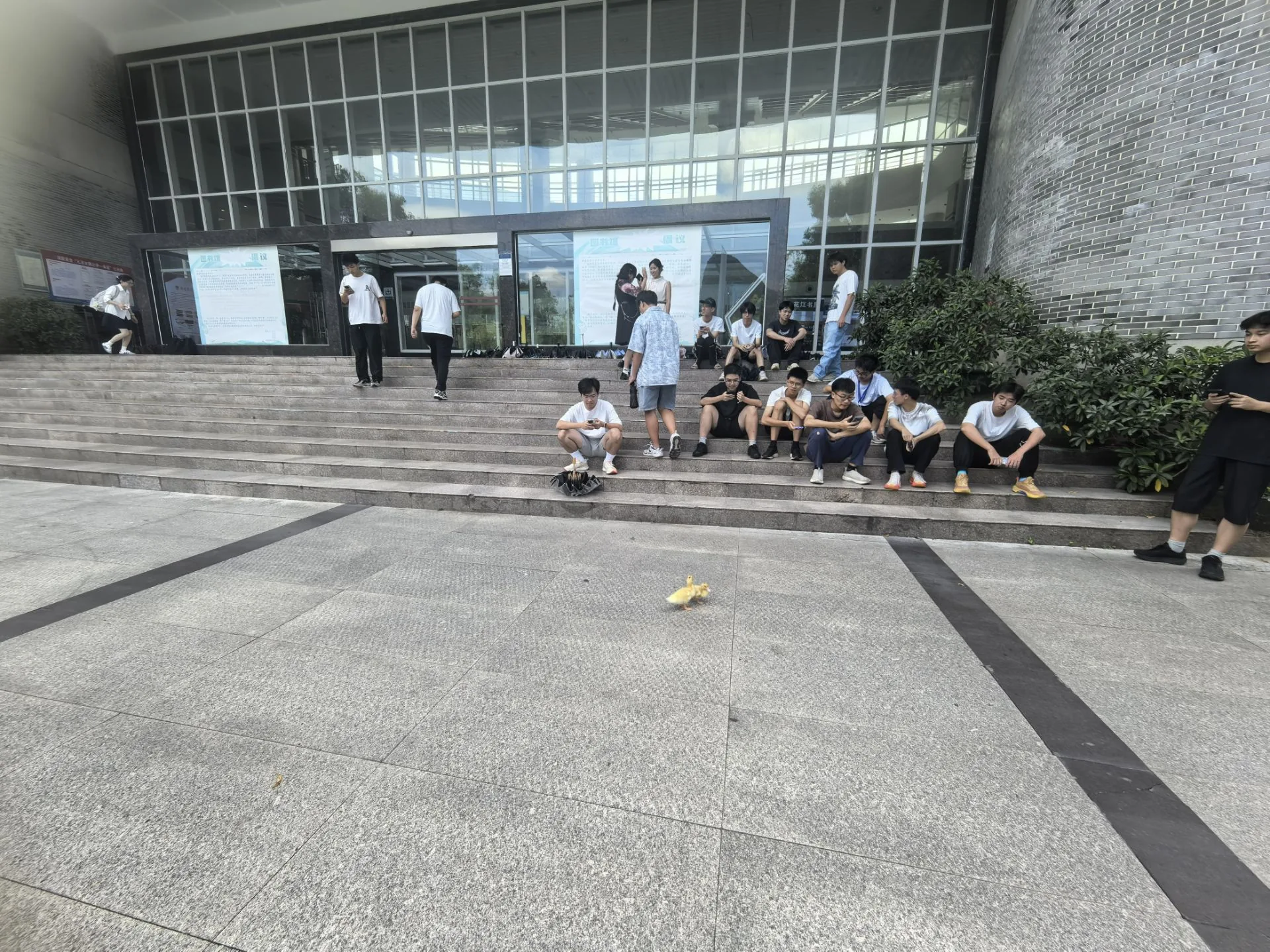 大合照环境